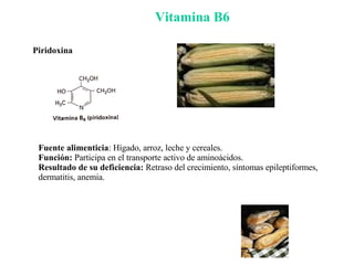 Vitamina B6 Fuente alimenticia : Hígado, arroz, leche y cereales. Función:  Participa en el transporte activo de aminoácidos. Resultado de su deficiencia:  Retraso del crecimiento, síntomas epileptiformes, dermatitis, anemia. Piridoxina 