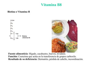 Vitamina B8 Fuente alimenticia : Hígado, cacahuetes, huevos, levadura. Función:  Coenzima que actúa en la transferencia de grupos carboxilo. Resultado de su deficiencia:  Dermatitis, pérdida de cabello, incoordinación. Biotina o Vitamina H 