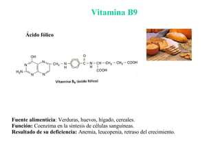Vitamina B9 Fuente alimenticia : Verduras, huevos, hígado, cereales. Función:  Coenzima en la síntesis de células sanguíneas. Resultado de su deficiencia:  Anemia, leucopenia, retraso del crecimiento. Ácido fólico 