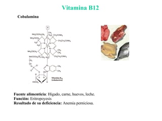 Vitamina B12 Fuente alimenticia : Hígado, carne, huevos, leche. Función:  Eritropoyesis Resultado de su deficiencia:  Anemia perniciosa. Cobalamina 