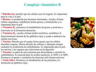 Riboflavina : permite que las células usen el oxígeno. Es importante para la vista y la piel  Biotina : es producida por bacterias intestinales. Ayuda a formar células sanguíneas, metaboliza ácidos grasos y aminoácidos y es importante para la piel  Vitamina B 6 : promueve el metabolismo de grasas y proteínas e interviene en la formación deniacina  Vitamina B 12 : ayuda a formar ácidos nucléicos, contribuye al funcionamiento normal de los glóbulos rojos y ayuda a mantener las células nerviosas  Niacina : Permite que el cuerpo forme grasas, que las células absorban oxígeno, liberen dióxido de carbono y obtengan energía mediante la combustión de carbohidratos. Es importante para la piel, los nervios y los órganos que intervienen en la digestión Tiamina : es parte de una coenzima que descompone y asimila los carbohidratos. Es esencial para los ácidos nucleicos, el ADN y el ARN. Promueve el apetito y normaliza las funciones del sistema nervioso  Ácido fólico . Promueve el metabolismo de las proteínas y la formación de glóbulos rojos  Complejo vitamínico B 