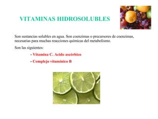 VITAMINAS HIDROSOLUBLES Son sustancias solubles en agua. Son coenzimas o precursores de coenzimas, necesarias para muchas reacciones químicas del metabolismo. Son las siguientes: -  Vitamina C. Acido ascórbico -  Complejo vitamínico B 