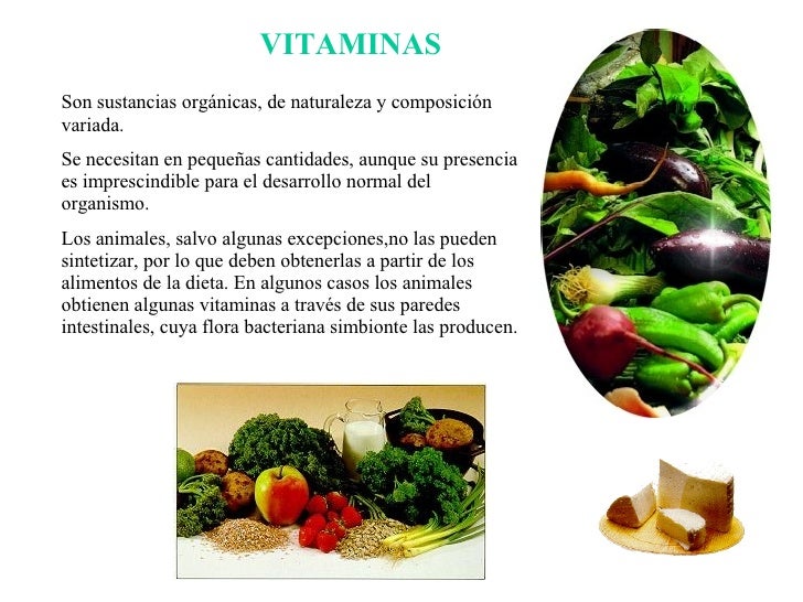 Things you Didn't Learn about Vitamins And Minerals 3