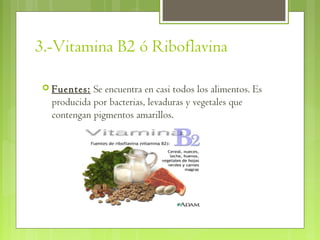 3.-Vitamina B2 ó Riboflavina

  Fuentes:  Se encuentra en casi todos los alimentos. Es
   producida por bacterias, levaduras y vegetales que
   contengan pigmentos amarillos.
 