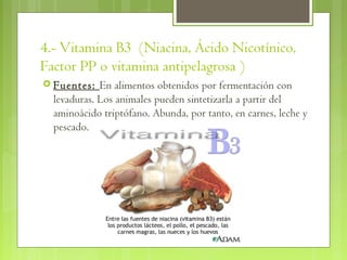 4.- Vitamina B3 (Niacina, Ácido Nicotínico,
Factor PP o vitamina antipelagrosa ) 
 Fuentes:   En alimentos obtenidos por fermentación con
  levaduras. Los animales pueden sintetizarla a partir del
  aminoácido triptófano. Abunda, por tanto, en carnes, leche y
  pescado.
 