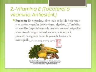 2.-Vitamina E (Tocoferol o
vitamina Antiestéril.)
 Fuentes:    En vegetales, sobre todo en los de hoja verde
  y en aceites vegetales (oliva virgen, algodón,..).También,
  en semillas (especialmente de cereales, como el trigo).En
  alimentos de origen animal, escasea, aunque está
  presente en algunos como la yema de huevo y la
  mantequilla.
 