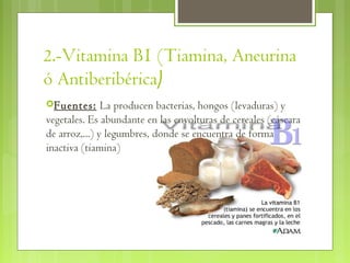 2.-Vitamina B1 (Tiamina, Aneurina
ó Antiberibérica)
Fuentes:      La producen bacterias, hongos (levaduras) y
vegetales. Es abundante en las envolturas de cereales (cáscara
de arroz,...) y legumbres, donde se encuentra de forma
inactiva (tiamina)
 
