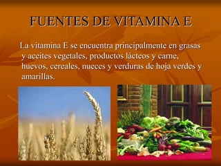 FUENTES DE VITAMINA E
La vitamina E se encuentra principalmente en grasas
y aceites vegetales, productos lácteos y carne,
huevos, cereales, nueces y verduras de hoja verdes y
amarillas.
 