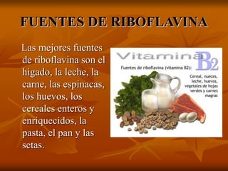 FUENTES DE RIBOFLAVINA
Las mejores fuentes
de riboflavina son el
hígado, la leche, la
carne, las espinacas,
los huevos, los
cereales enteros y
enriquecidos, la
pasta, el pan y las
setas.
 