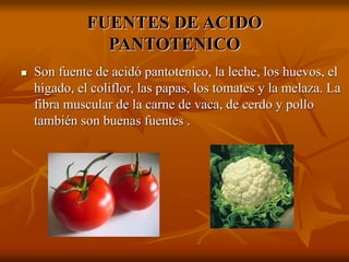 FUENTES DE ACIDO
PANTOTENICO
 Son fuente de acidó pantotenico, la leche, los huevos, el
hígado, el coliflor, las papas, los tomates y la melaza. La
fibra muscular de la carne de vaca, de cerdo y pollo
también son buenas fuentes .
 