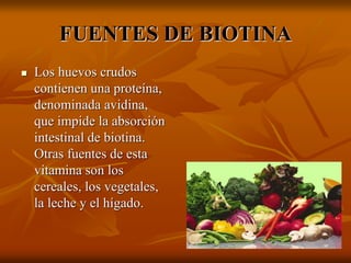 FUENTES DE BIOTINA
 Los huevos crudos
contienen una proteína,
denominada avidina,
que impide la absorción
intestinal de biotina.
Otras fuentes de esta
vitamina son los
cereales, los vegetales,
la leche y el hígado.
 