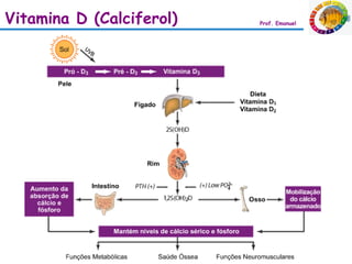 Vitamina D (Calciferol)   Prof. Emanuel
 