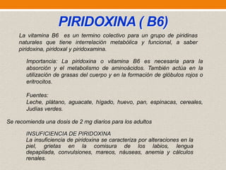 PIRIDOXINA ( B6)
La vitamina B6 es un termino colectivo para un grupo de piridinas
naturales que tiene interrelación metabólica y funcional, a saber
piridoxina, piridoxal y piridoxamina.
Importancia: La piridoxina o vitamina B6 es necesaria para la
absorción y el metabolismo de aminoácidos. También actúa en la
utilización de grasas del cuerpo y en la formación de glóbulos rojos o
eritrocitos.

Fuentes:
Leche, plátano, aguacate, hígado, huevo, pan, espinacas, cereales,
Judías verdes.
Se recomienda una dosis de 2 mg diarios para los adultos
INSUFICIENCIA DE PIRIDOXINA
La insuficiencia de piridoxina se caracteriza por alteraciones en la
piel, grietas en la comisura de los labios, lengua
depapilada, convulsiones, mareos, náuseas, anemia y cálculos
renales.

 