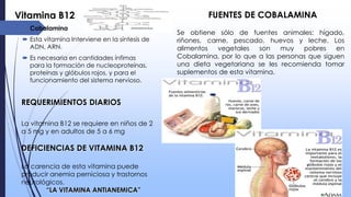 Vitamina B12
 Cobalamina
 Esta vitamina Interviene en la síntesis de
ADN, ARN.
 Es necesaria en cantidades ínfimas
para la formación de nucleoproteínas,
proteínas y glóbulos rojos, y para el
funcionamiento del sistema nervioso.

REQUERIMIENTOS DIARIOS
La vitamina B12 se requiere en niños de 2
a 5 mg y en adultos de 5 a 6 mg

DEFICIENCIAS DE VITAMINA B12
La carencia de esta vitamina puede
producir anemia perniciosa y trastornos
neurológicos.
“LA VITAMINA ANTIANEMICA”

FUENTES DE COBALAMINA
Se obtiene sólo de fuentes animales: hígado,
riñones, carne, pescado, huevos y leche. Los
alimentos
vegetales
son
muy
pobres
en
Cobalamina, por lo que a las personas que siguen
una dieta vegetariana se les recomienda tomar
suplementos de esta vitamina.

 
