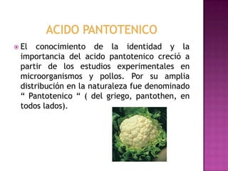  El

conocimiento de la identidad y la
importancia del acido pantotenico creció a
partir de los estudios experimentales en
microorganismos y pollos. Por su amplia
distribución en la naturaleza fue denominado
“ Pantotenico “ ( del griego, pantothen, en
todos lados).

 
