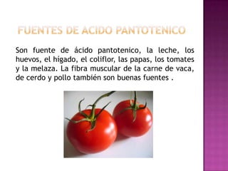 Son fuente de ácido pantotenico, la leche, los
huevos, el hígado, el coliflor, las papas, los tomates
y la melaza. La fibra muscular de la carne de vaca,
de cerdo y pollo también son buenas fuentes .

 