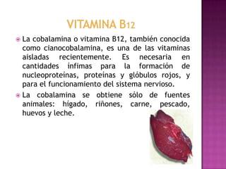 La cobalamina o vitamina B12, también conocida
como cianocobalamina, es una de las vitaminas
aisladas recientemente. Es necesaria en
cantidades ínfimas para la formación de
nucleoproteínas, proteínas y glóbulos rojos, y
para el funcionamiento del sistema nervioso.
 La cobalamina se obtiene sólo de fuentes
animales: hígado, riñones, carne, pescado,
huevos y leche.


 