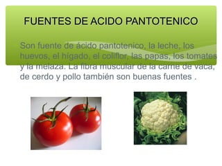 FUENTES DE ACIDO PANTOTENICO
∗ Son fuente de ácido pantotenico, la leche, los
huevos, el hígado, el coliflor, las papas, los tomates
y la melaza. La fibra muscular de la carne de vaca,
de cerdo y pollo también son buenas fuentes .

 