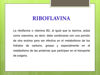 RIBOFLAVINA
La riboflavina o vitamina B2, al igual que la tiamina, actúa
como coenzima, es decir, debe combinarse con una porción
de otra enzima para ser efectiva en el metabolismo de los
hidratos

de

carbono,

grasas

y

especialmente

en

el

metabolismo de las proteínas que participan en el transporte
de oxígeno.

 