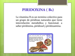 PIRIDOXINA ( B6)
La vitamina B es un termino colectivo para
un grupo de piridinas naturales que tiene
interrelación metabólica y funcional, a
saber piridoxina, piridoxal y piridoxamina.

 