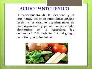 ACIDO PANTOTENICO
El conocimiento de la identidad y la
importancia del acido pantoténico creció a
partir de los estudios experimentales en
microorganismos y pollos. Por su amplia
distribución en la naturaleza fue
denominado “ Pantotenico “ ( del griego,
pantothen, en todos lados).

 