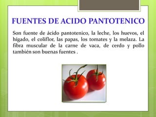 FUENTES DE ACIDO PANTOTENICO
Son fuente de ácido pantotenico, la leche, los huevos, el
hígado, el coliflor, las papas, los tomates y la melaza. La
fibra muscular de la carne de vaca, de cerdo y pollo
también son buenas fuentes .

 