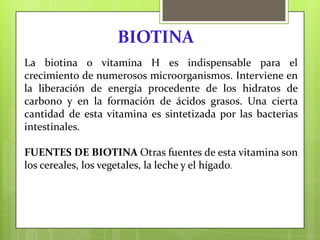 BIOTINA
La biotina o vitamina H es indispensable para el
crecimiento de numerosos microorganismos. Interviene en
la liberación de energía procedente de los hidratos de
carbono y en la formación de ácidos grasos. Una cierta
cantidad de esta vitamina es sintetizada por las bacterias
intestinales.
FUENTES DE BIOTINA Otras fuentes de esta vitamina son
los cereales, los vegetales, la leche y el hígado.

 