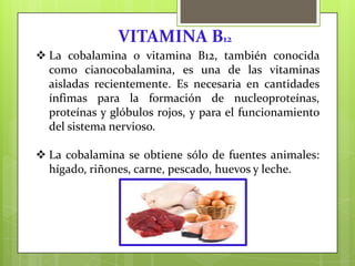 VITAMINA B12
 La cobalamina o vitamina B12, también conocida
como cianocobalamina, es una de las vitaminas
aisladas recientemente. Es necesaria en cantidades
ínfimas para la formación de nucleoproteínas,
proteínas y glóbulos rojos, y para el funcionamiento
del sistema nervioso.
 La cobalamina se obtiene sólo de fuentes animales:
hígado, riñones, carne, pescado, huevos y leche.

 
