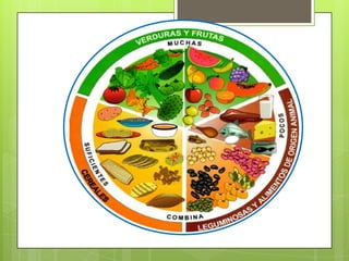 Vitaminas Hidrosolubles y Liposolubles