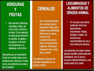 Vitaminas Hidrosolubles y Liposolubles