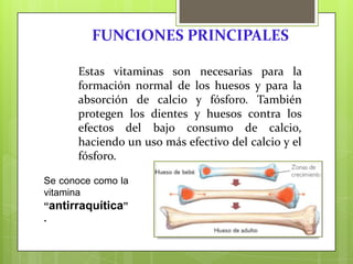 FUNCIONES PRINCIPALES
Estas vitaminas son necesarias para la
formación normal de los huesos y para la
absorción de calcio y fósforo. También
protegen los dientes y huesos contra los
efectos del bajo consumo de calcio,
haciendo un uso más efectivo del calcio y el
fósforo.
Se conoce como la
vitamina
“antirraquítica”
.

 