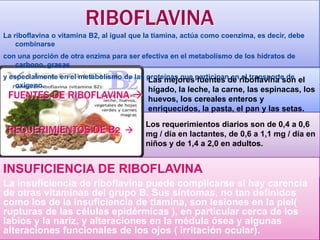 RIBOFLAVINA
La riboflavina o vitamina B2, al igual que la tiamina, actúa como coenzima, es decir, debe
combinarse
con una porción de otra enzima para ser efectiva en el metabolismo de los hidratos de
carbono, grasas

y especialmente en el metabolismo de las proteínas que participande riboflavina son el
Las mejores fuentes en el transporte de
oxígeno.

FUENTES DE RIBOFLAVINA 

hígado, la leche, la carne, las espinacas, los
huevos, los cereales enteros y
enriquecidos, la pasta, el pan y las setas.

REQUERIMIENTOS DE B2 

Los requerimientos diarios son de 0,4 a 0,6
mg / día en lactantes, de 0,6 a 1,1 mg / día en
niños y de 1,4 a 2,0 en adultos.

INSUFICIENCIA DE RIBOFLAVINA
La insuficiencia de riboflavina puede complicarse si hay carencia
de otras vitaminas del grupo B. Sus síntomas, no tan definidos
como los de la insuficiencia de tiamina, son lesiones en la piel(
rupturas de las células epidérmicas ), en particular cerca de los
labios y la nariz, y alteraciones en la médula ósea y algunas
alteraciones funcionales de los ojos ( irritación ocular).

 