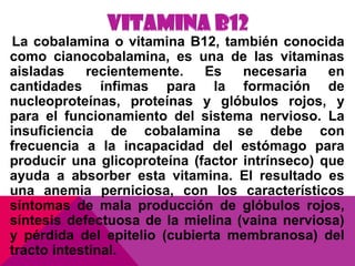 La cobalamina o vitamina B12, también conocida
como cianocobalamina, es una de las vitaminas
aisladas
recientemente.
Es
necesaria
en
cantidades ínfimas para la formación de
nucleoproteínas, proteínas y glóbulos rojos, y
para el funcionamiento del sistema nervioso. La
insuficiencia de cobalamina se debe con
frecuencia a la incapacidad del estómago para
producir una glicoproteína (factor intrínseco) que
ayuda a absorber esta vitamina. El resultado es
una anemia perniciosa, con los característicos
síntomas de mala producción de glóbulos rojos,
síntesis defectuosa de la mielina (vaina nerviosa)
y pérdida del epitelio (cubierta membranosa) del
tracto intestinal.

 