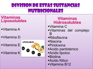 Vitaminas
Liposolubles
Vitamina A
Vitamina D
Vitamina E
Vitamina K

Vitaminas
Hidrosolubles

Vitamina C
Vitaminas del complejo
B
Riboflavina
Niacina
Piridoxina
Acido pantotenico
Acido lipoico
Biotina
Acido fólico
Vitamina B12

 