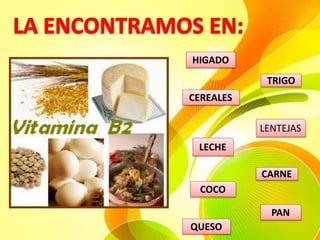 TRIGO
CEREALES
LENTEJAS
LECHE
CARNE
COCO
HIGADO
QUESO
PAN
 