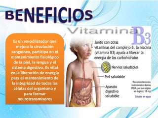 Es un vasodilatador que
mejora la circulación
sanguínea, participa en el
mantenimiento fisiológico
de la piel, la lengua y el
sistema digestivo. Es vital
en la liberación de energía
para el mantenimiento de
la integridad de todas las
células del organismo y
para formar
neurotransmisores
 