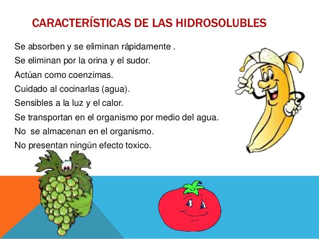El medio wella para la permanente química de los cabello