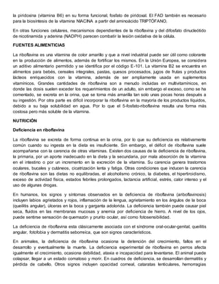 la piridoxina (vitamina B6) en su forma funcional, fosfato de piridoxal. El FAD también es necesario 
para la biosíntesis de la vitamina NIACINA a partir del aminoácido TRIPTÓFANO. 
En otras funciones celulares, mecanismos dependientes de la riboflavina y del difosfato dinucleótido 
de nicotinamida y adenina (NADPH) parecen combatir la lesión oxidativa de la célula. 
FUENTES ALIMENTICIAS 
La riboflavina es una vitamina de color amarillo y que a nivel industrial puede ser útil como colorante 
en la producción de alimentos, además de fortificar los mismos. En la Unión Europea, se considera 
un aditivo alimentario permitido y se identifica por el código E-101. La vitamina B2 se encuentra en 
alimentos para bebés, cereales integrales, pastas, quesos procesados, jugos de frutas y productos 
lácteos enriquecidos con la vitamina, además de ser ampliamente usada en suplementos 
vitamínicos. Grandes cantidades de riboflavina son a menudo incluidas en multivitamínicos, en 
donde las dosis suelen exceder los requerimientos de un adulto, sin embargo el exceso, como se ha 
comentado, se excreta en la orina, que se torna más amarilla tan solo unas pocas horas después a 
su ingestión. Por otra parte es difícil incorporar la riboflavina en la mayoría de los productos líquidos, 
debido a su baja solubilidad en agua. Por lo que el 5-fosfato-riboflavina resulta una forma más 
costosa pero más soluble de la vitamina. 
NUTRICIÓN 
Deficiencia en riboflavina 
La riboflavina se excreta de forma continua en la orina, por lo que su deficiencia es relativamente 
común cuando su ingesta en la dieta es insuficiente. Sin embargo, el déficit de riboflavina suele 
acompañarse con la carencia de otras vitaminas. Existen dos causas de la deficiencia de riboflavina, 
la primaria, por un aporte inadecuado en la dieta y la secundaria, por mala absorción de la vitamina 
en el intestino o por un incremento en la excreción de la vitamina. Su carencia genera trastornos 
oculares, bucales y cutáneos, cicatrización lenta y fatiga. Otras condiciones que inducen la carencia 
de riboflavina son las dietas no equilibradas, el alcoholismo crónico, la diabetes, el hipertiroidismo, 
exceso de actividad física, estados febriles prolongados, lactancia artificial, estrés, calor intenso y el 
uso de algunas drogas. 
En humanos, los signos y síntomas observados en la deficiencia de riboflavina (ariboflavinosis) 
incluyen labios agrietados y rojos, inflamación de la lengua, agrietamiento en los ángulos de la boca 
(queilitis angular), úlceras en la boca y garganta adolorida. La deficiencia también puede causar piel 
seca, fluidos en las membranas mucosas y anemia por deficiencia de hierro. A nivel de los ojos, 
puede sentirse sensación de quemazón y prurito ocular, así como fotosensibilidad. 
La deficiencia de riboflavina esta clásicamente asociada con el síndrome oral-ocular-genital, queilitis 
angular, fotofobia y dermatitis seborreíca, que son signos característicos. 
En animales, la deficiencia de riboflavina ocasiona la detención del crecimiento, fallos en el 
desarrollo y eventualmente la muerte. La deficiencia experimental de riboflavina en perros afecta 
igualmente el crecimiento, ocasiona debilidad, ataxia e incapacidad para levantarse. El animal puede 
colapsar, llegar a un estado comatoso y morir. En cuadros de deficiencia, se desarrollan dermatitis y 
pérdida de cabello. Otros signos incluyen opacidad corneal, cataratas lenticulares, hemorragias 
 