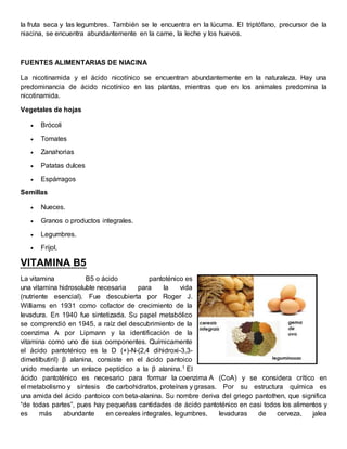 la fruta seca y las legumbres. También se le encuentra en la lúcuma. El triptófano, precursor de la 
niacina, se encuentra abundantemente en la carne, la leche y los huevos. 
FUENTES ALIMENTARIAS DE NIACINA 
La nicotinamida y el ácido nicotínico se encuentran abundantemente en la naturaleza. Hay una 
predominancia de ácido nicotínico en las plantas, mientras que en los animales predomina la 
nicotinamida. 
Vegetales de hojas 
 Brócoli 
 Tomates 
 Zanahorias 
 Patatas dulces 
 Espárragos 
Semillas 
 Nueces. 
 Granos o productos integrales. 
 Legumbres. 
 Frijol. 
VITAMINA B5 
La vitamina B5 o ácido pantoténico es 
una vitamina hidrosoluble necesaria para la vida 
(nutriente esencial). Fue descubierta por Roger J. 
Williams en 1931 como cofactor de crecimiento de la 
levadura. En 1940 fue sintetizada. Su papel metabólico 
se comprendió en 1945, a raíz del descubrimiento de la 
coenzima A por Lipmann y la identificación de la 
vitamina como uno de sus componentes. Químicamente 
el ácido pantoténico es la D (+)-N-(2,4 dihidroxi-3,3- 
dimetilbutiril) β alanina, consiste en el ácido pantoico 
unido mediante un enlace peptídico a la β alanina.1 El 
ácido pantoténico es necesario para formar la coenzima A (CoA) y se considera crítico en 
el metabolismo y síntesis de carbohidratos, proteínas y grasas. Por su estructura química es 
una amida del ácido pantoico con beta-alanina. Su nombre deriva del griego pantothen, que significa 
“de todas partes”, pues hay pequeñas cantidades de ácido pantoténico en casi todos los alimentos y 
es más abundante en cereales integrales, legumbres, levaduras de cerveza, jalea 
 