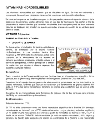 .VITAMINAS HIDROSOLUBLES 
Las vitaminas hidrosolubles son aquellas que se disuelven en agua. Se trata de coenzimas o 
precursores de coenzimas, necesarias para muchas reacciones químicas del metabolismo. 
Se caracterizan porque se disuelven en agua, por lo que pueden pasarse al agua del lavado o de la 
cocción de los alimentos. Muchos alimentos ricos en este tipo de vitaminas no nos aportan al final de 
prepararlos la misma cantidad que contenían inicialmente. Para recuperar parte de estas vitaminas 
(algunas se destruyen con el calor), se puede aprovechar el agua de cocción de las verduras para 
caldos o sopas. 
VITAMINA B1 (tiamina) 
FORMAS ACTIVAS DE LA TIAMINA 
 DIFOSFATO DE TIAMINA 
Su forma activa, el pirofosfato de tiamina o difosfato de 
tiamina, es sintetizado por la enzima tiamina-pirofosfoquinasa, 
la cual requiere tiamina libre, 
magnesio y ATP (Trifosfato de adenosina), actúa como 
coenzima en el metabolismo de los hidratos de 
carbono, permitiendo metabolizar el ácido pirúvico o el 
ácido alfa-cetoglutárico. Además participa en la síntesis 
de sustancias que regulan el sistema nervioso. Los 
siguientes ejemplos incluyen: 
En mamíferos 
Como coenzima de la Piruvato deshidrogenasa (enzima clave en el metabolismo energético de los 
glúcidos, tras la glucólisis) y alfa-cetoglutarato deshidrogenasa (enzima del Ciclo de Krebs). 
Coenzima del Complejo deshidrogenasa de alfa-cetoácidos provenientes de los aminoácidos de 
cadena ramificada. Enzimas que catalizan la separación y la transferencia de grupos aldehído. Por 
tanto, el TPP actúa como transportador transitorio de dichos grupos aldehído, que se unen al anillo 
de tiazol. 
Coenzima de las transcetolasas para formación de cetosas (vía de las pentosas para sintetizar 
NADPH y las pentosas Ribosa y desoxiribosa). 
En otras especies 
Trifosfato de tiamina: (TTP 
El TTP ha sido considerado como una forma neuroactiva específica de la Tiamina. Sin embargo, 
recientemente se demostró que el TTP existe en bacterias, hongos, plantas y animales, sugiriendo 
un rol celular mucho más general. Se sintetiza a partir del Pirofosfato de tiamina o TDP, y ATP a 
través de la enzima TDP-ATP fosforiltransferasa (la cual se expresa en cerebro, riñón, hígado y 
corazón). Su función está asociada a la función no coenzimática de la Tiamina y esta relacionada 
 