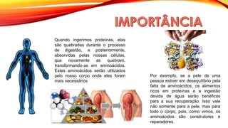 Quando ingerimos proteínas, elas
são quebradas durante o processo
de digestão, e posteriormente,
absorvidas pelas nossas células,
que novamente as quebram,
transformando-as em aminoácidos.
Estes aminoácidos serão utilizados
pelo nosso corpo onde eles forem
mais necessários
Por exemplo, se a pele de uma
pessoa estiver em desequilíbrio pela
falta de aminoácidos, os alimentos
ricos em proteínas e a ingestão
devida de água serão benéficos
para a sua recuperação. Isso vale
não somente para a pele, mas para
todo o corpo, pois, como vimos, os
aminoácidos são construtores e
reparadores.
 