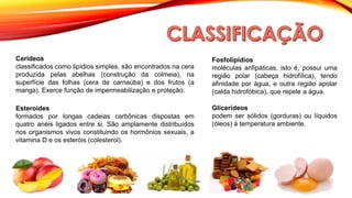 Cerídeos
classificados como lipídios simples, são encontrados na cera
produzida pelas abelhas (construção da colmeia), na
superfície das folhas (cera de carnaúba) e dos frutos (a
manga). Exerce função de impermeabilização e proteção.
Fosfolipídios
moléculas anfipáticas, isto é, possui uma
região polar (cabeça hidrofílica), tendo
afinidade por água, e outra região apolar
(calda hidrofóbica), que repele a água.
Glicerídeos
podem ser sólidos (gorduras) ou líquidos
(óleos) à temperatura ambiente.
Esteroides
formados por longas cadeias carbônicas dispostas em
quatro anéis ligados entre si. São amplamente distribuídos
nos organismos vivos constituindo os hormônios sexuais, a
vitamina D e os esteróis (colesterol).
 