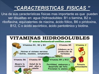 “CARACTERISTICAS FISICAS ”
Una de sus características físicas mas importante es que pueden
ser disueltas en: agua (hidrosolubles: B1 o tiamina, B2 o
riboflavina, equivalentes de niacina, ácido fólico, B6 o piridoxina,
B12, C o ácido ascórbico, ácido pantoténico y biotina.
 