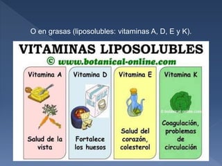 O en grasas (liposolubles: vitaminas A, D, E y K).
 