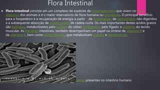 Flora Intestinal
 Flora intestinal consiste em um complexo de espécies de microrganismos que vivem no trato
digestivo dos animais e é o maior reservatório de flora humana ou microbiota. O principal benefício
para o hospedeiro é a recuperação de energia a partir da fermentação de carboidratos não digeridos
e a subsequente absorção de ácidos graxos de cadeia curta. Os mais importantes destes ácidos graxos
são butiratos, metabolizados pelo epitélio do cólon; propionatos pelo fígado; e acetatos do tecido
muscular. As bactérias intestinais, também desempenham um papel na síntese de vitamina B e
da vitamina K, bem como ácidos biliares, que metabolizam esteróis e xenobióticos.
 Escherichia coli, uma das muitas espécies de bactérias presentes no intestino humano
 