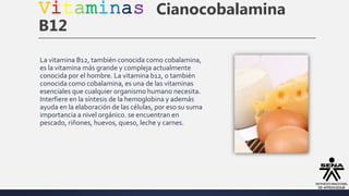 Vitaminas Cianocobalamina
B12
La vitamina B12, también conocida como cobalamina,
es la vitamina más grande y compleja actualmente
conocida por el hombre. La vitamina b12, o también
conocida como cobalamina, es una de las vitaminas
esenciales que cualquier organismo humano necesita.
Interfiere en la síntesis de la hemoglobina y además
ayuda en la elaboración de las células, por eso su suma
importancia a nivel orgánico. se encuentran en
pescado, riñones, huevos, queso, leche y carnes.
 