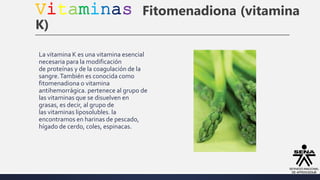 Vitaminas Fitomenadiona (vitamina
K)
La vitamina K es una vitamina esencial
necesaria para la modificación
de proteínas y de la coagulación de la
sangre.También es conocida como
fitomenadiona o vitamina
antihemorrágica. pertenece al grupo de
las vitaminas que se disuelven en
grasas, es decir, al grupo de
las vitaminas liposolubles. la
encontramos en harinas de pescado,
hígado de cerdo, coles, espinacas.
 