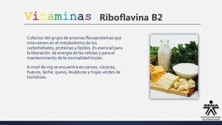 Vitaminas Riboflavina B2
Cofactor del grupo de enzimas flavoproteínas que
intervienen en el metabolismo de los
carbohidratos, proteínas y lípidos. Es esencial para
la liberación de energía de las células y para el
mantenimiento de la normalidad tisular.
A nivel de mg se encuentra en carnes, vísceras,
huevos, leche, queso, levaduras y hojas verdes de
hortalizas.
 
