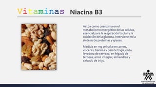 Vitaminas Niacina B3
Actúa como coenzima en el
metabolismo energético de las células,
esencial para la respiración tisular y la
oxidación de la glucosa. Interviene en la
síntesis de proteínas y grasas.
Medida en mg se halla en carnes,
vísceras, harinas y pan de trigo, en la
levadura de cerveza, en hígado de
ternera, arroz integral, almendras y
salvado de trigo.
 