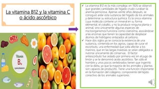 La vitamina B12 y la vitamina C
o ácido ascórbico
 La vitamina B12 es la más compleja: en 1926 se observó
que grandes cantidades de hígado crudo curaban la
anemia perniciosa. Apenas veinte años después, se
consiguió aislar esta sustancia del hígado de los animales
y determinar su estructura química. Es la única vitamina
cuya molécula contiene un mineral en su forma
elemental, el cobalto, y no la produce ninguna planta o
animal, sino únicamente algunas especies de
microorganismos.Funciona como coenzima, asociándose
a las enzimas que tienen la capacidad de desplazar
átomos de hidrógeno enlazados al carbono.
 Hace dos siglos ya se conocía la existencia de una
sustancia, contenida en los agrios, capaz de curar el
escorbuto, una enfermedad que solía afectar a los
marinos, que en las largas travesías se veían obligados a
nutrirse únicamente de conservas . El factor
antiescorbuto fue aislado por primera vez en el jugo de
limón y se le denominó ácido ascórbico. Tan sólo el
hombre y unos pocos vertebrados tienen que ingerirlo
con la dieta, ya que la mayoría de los animales y plantas
son capaces de producirlo. Tiene una función importante
en la formación del colágeno, componente del tejido
conectivo de los animales superiores.
 